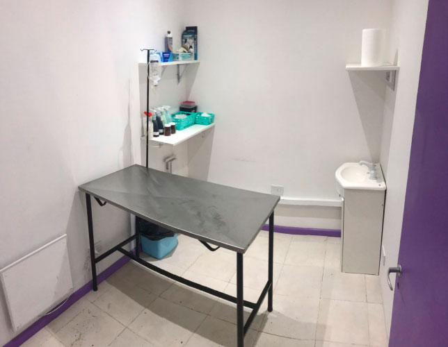 instalaciones-sucursales-comunidad-amor-animal-3